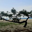 낙산농장 이미지