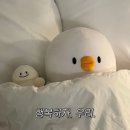 천운칼국수 | 긴 겨울 지나, 마침내