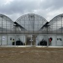 디와이팜 | 과천 몬스마스터 희귀식물마켓 2023년 2월 몬마켓 방문후기