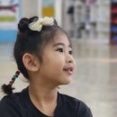 전진태권도 이미지