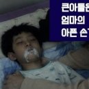 트리메이트 이미지