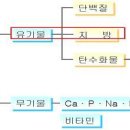 영양소 이미지