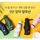 에이스개발(주) 이미지