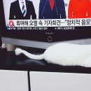 시형농장 이미지