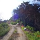 도계2리 이미지