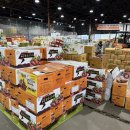 각화동농산물도매시장(채소경매장) | 광주 농산물구매 각화농산물도매시장 착한가격