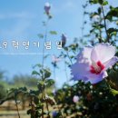 [오늘] 4.19 혁명 기념일