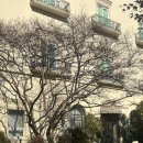 챔버(꽃의 내부) | 강남 초호화 웨딩홀 라움아트센터💌👀 하객 시점 후기(생화장식비교, 주차부터 식사, 내부 분위기까지)