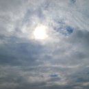 발모액과 특제 감기약 이미지