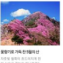 산솔산악회 다음까페 메인페이지 홍보에 당첨!!!! 이미지