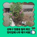 정릉54 | 성북구 정릉동 빌라 화단 정리업체 나무 제거 비용