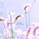 온새미로 Daum카페