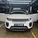 때미리디테일링 이미지