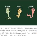 돼지고기를 함부로 먹는 사람들은 다만 병에 걸릴 수밖에 없다 이미지