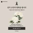 순수상조 이미지