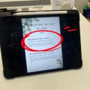 지수목욕탕 | 광주두피관리 고민해결, 스무하루 스켈프 찐만족 후기