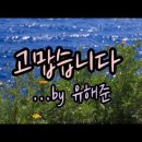 고맙습니다...유해준 이미지