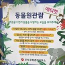금당어린이집 | [광주 남구 어린이집] 🐘 광주 우치공원 동물원 현장학습 완벽 후기 (ft. 만 2~5세 추천!)
