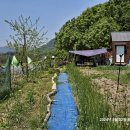 기린농장 이미지