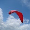 부림체육관 이미지