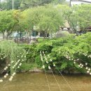 천국은불타고있다 이미지