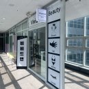 비비드앤 | 김포 구래동 속눈썹연장 추천 비비드앤래쉬 LED 연장 후기