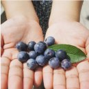 유림슈퍼 이미지