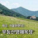 호남목장 | 아이랑 함께 가볼만한 곳 호남 알프스 화순 무등산양떼목장