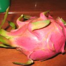 주인농장 이미지