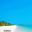 건강