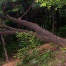 용천(안산) 이미지