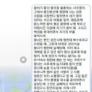 대치2-111 | 영화 <끝이 없는 스칼렛> 후기 및 쿠키, 관람 포인트