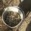 삼호가든경로당 이미지