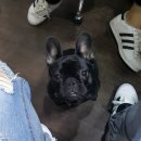 헤라복싱클럽 이미지