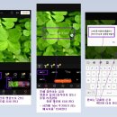 비바비디오 이미지