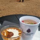 소양강로 L | [춘천 카페] 춘천 소나무숲 대형카페 소울로스터리카페 내돈내산 솔직후기