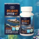 에버그린 이미지