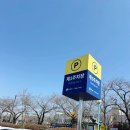 희안식당 | 경주월드 평일 대기시간 주차 식당 간식 맛없고 드라켄 재미있고 당일치기 후기