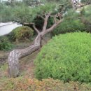 순천금당고등학교 이미지