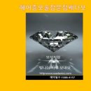 쎄다모