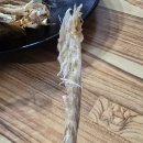 새마을곱창 이미지