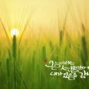 매자리길 이미지