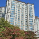 송산로307번길50 네이버블로그