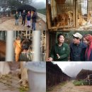 예능농장 이미지