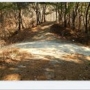 새터농로 이미지