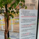 스타애견 티스토리
