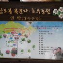 숲속의아침민박펜션 이미지