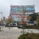 크로바약국 | &lt;크로바내과&gt; 세종 수면 위 내시경 자궁경부암 검사 후기 ෆෆ