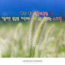 황금이삭 이미지