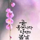 당신의봄날 Daum카페